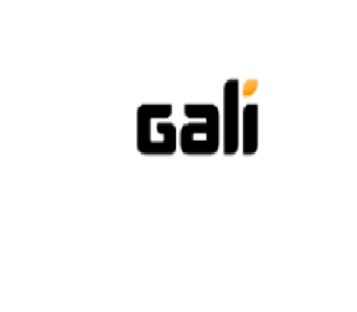 Gali Logo 2.jpg